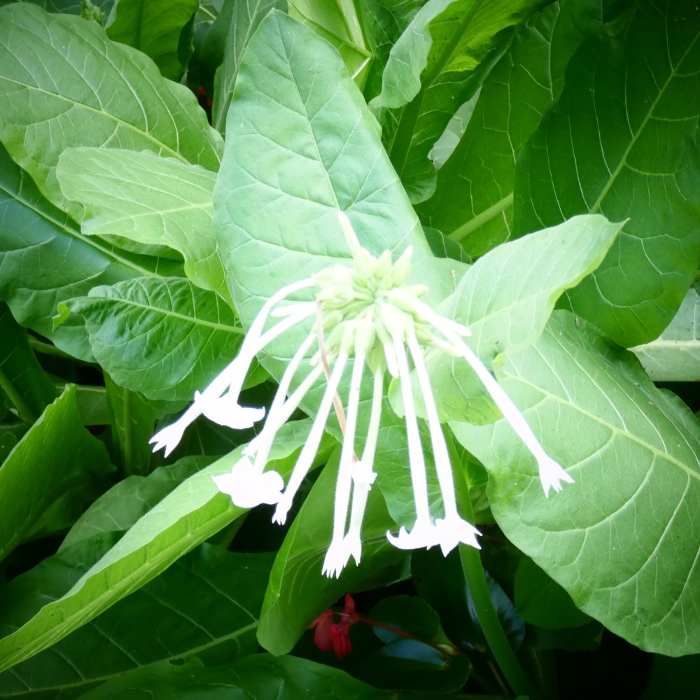 Meet your Posher, Gary